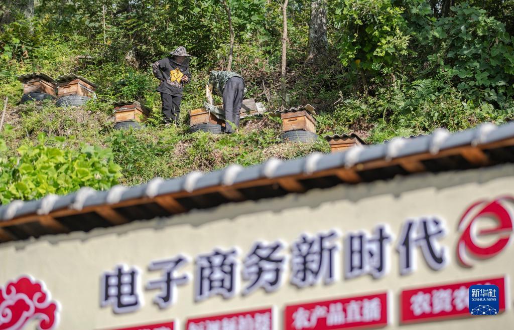 金猴爷老虎机怎么提现
